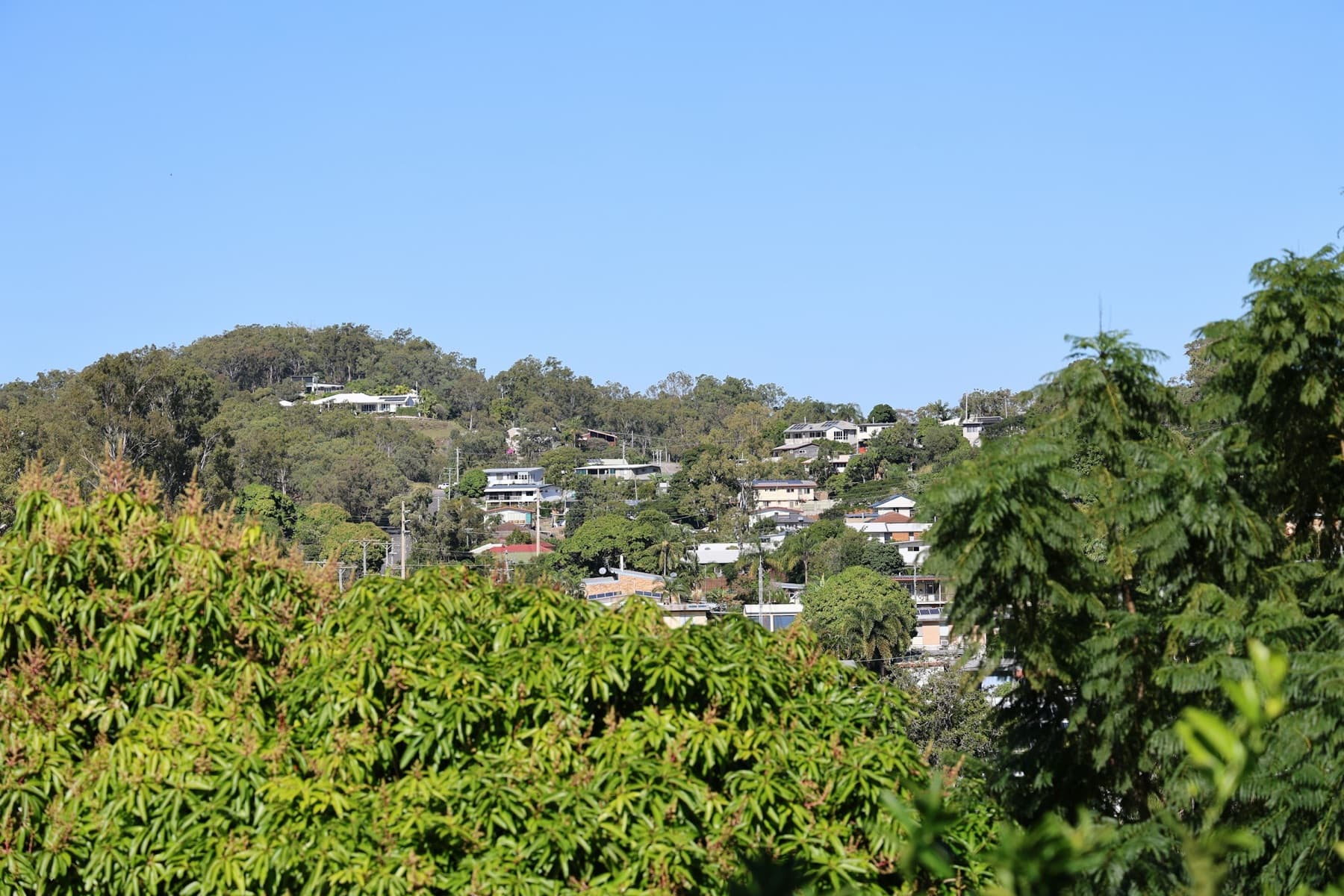 Australian suburban houses representing the property market.